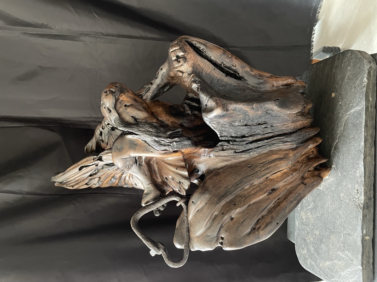 Obra reciente — escultura en madera
